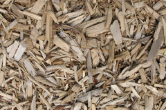 biomass boilers Braidwood