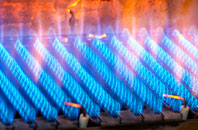 Braidwood gas fired boilers