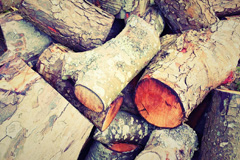 Braidwood wood burning boiler costs